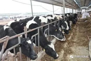 聚焦飼料質(zhì)量與養(yǎng)殖效益——10月23日“行風(fēng)熱線”上線單位 畜牧漁業(yè)飼料銷售單位